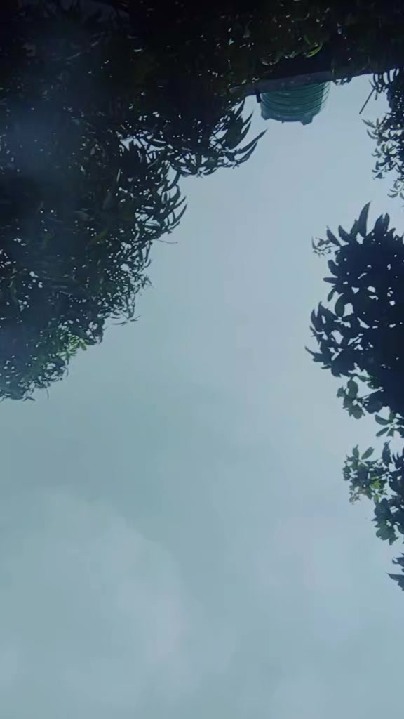 @☆࿐ཽ༵༆༒राधे राधे༒༆࿐ཽ༵