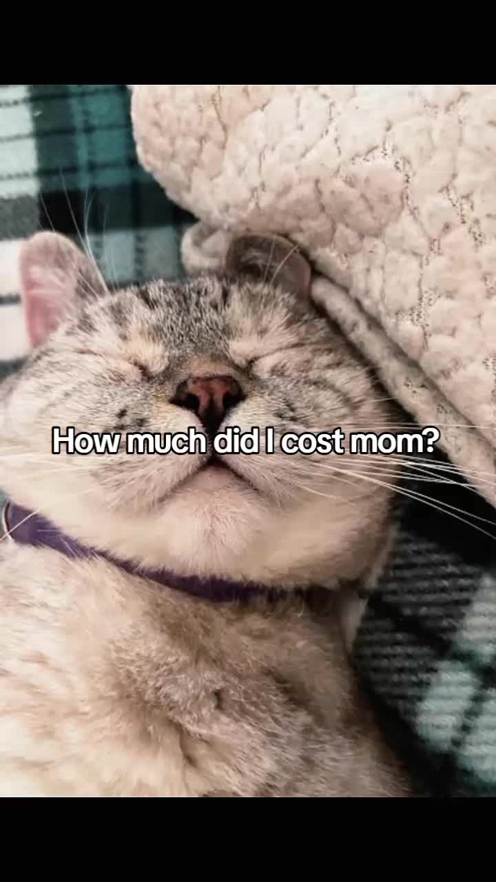 @SL33PY