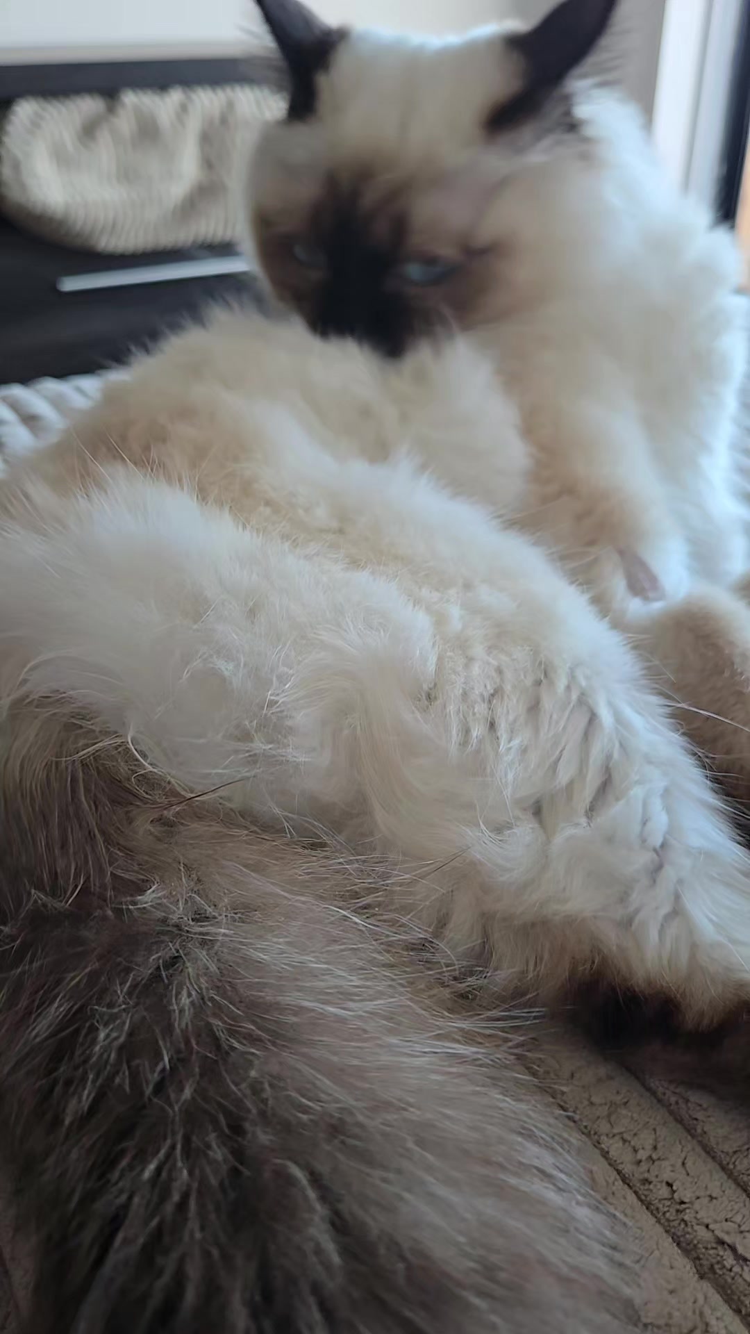 @Léo & Suki ♥️
