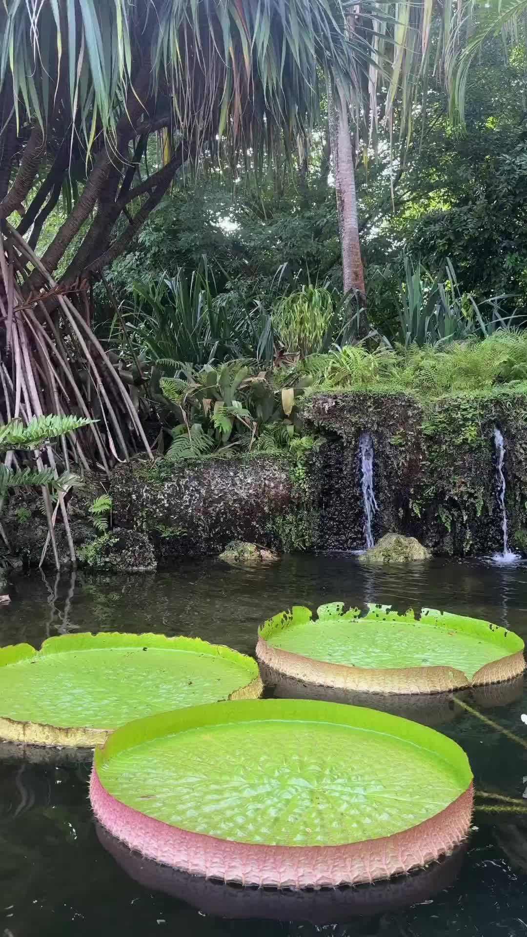 @Fairchild Botanic Garden