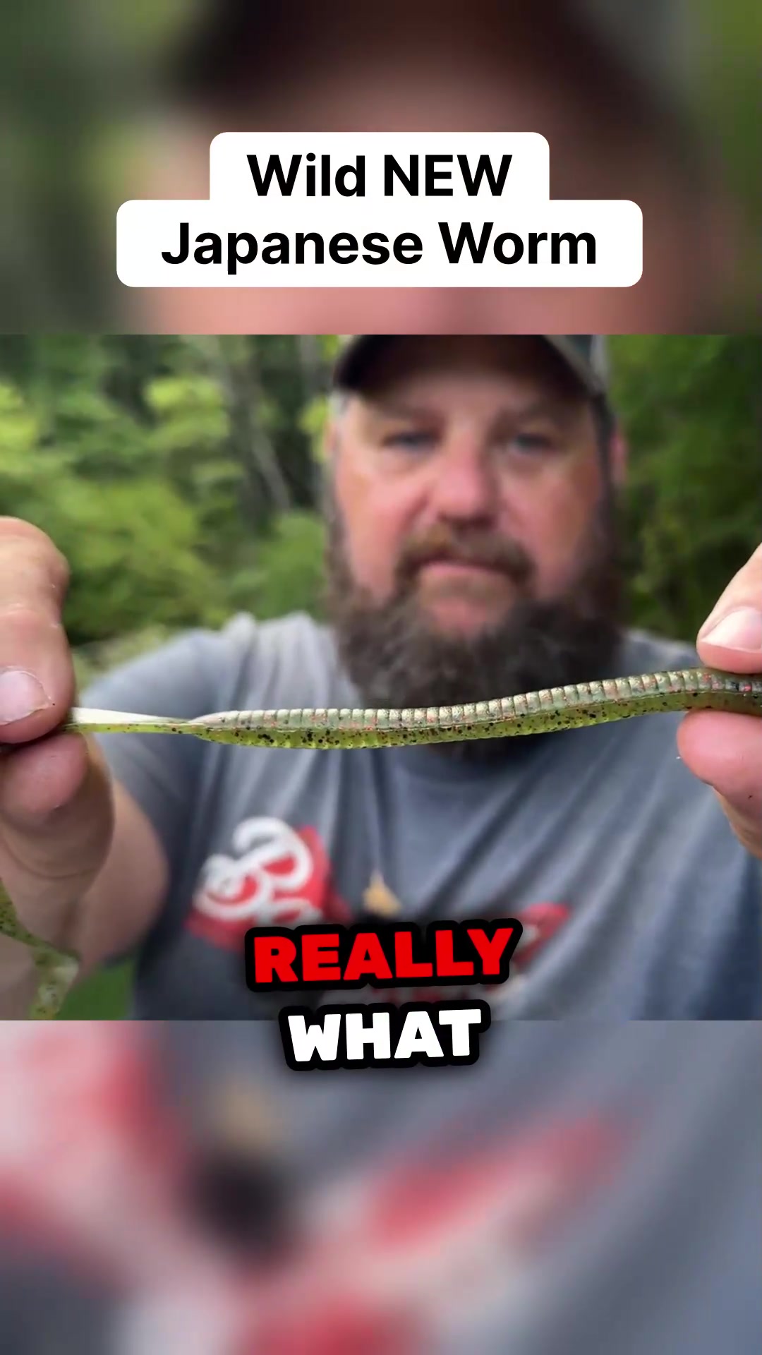 @bassgeek