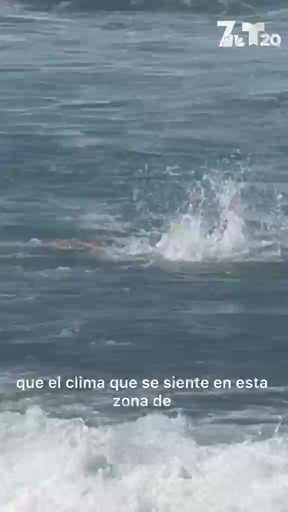 @telemundosandiego