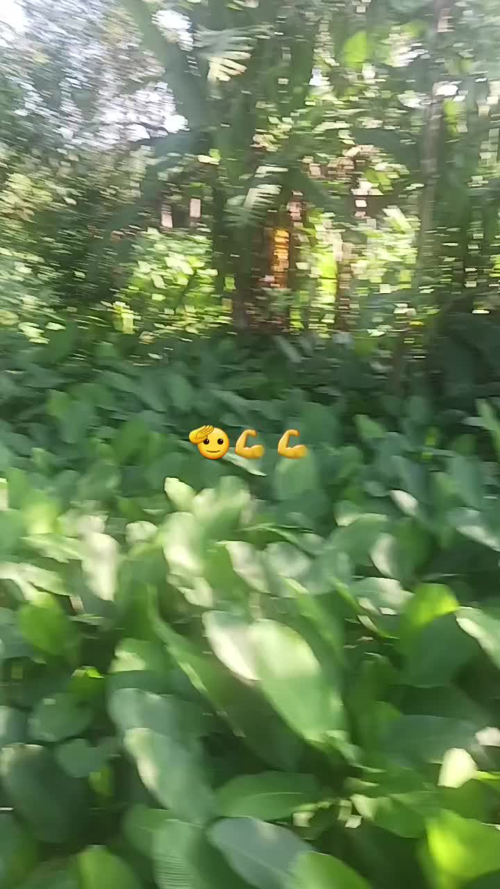 @@chino502