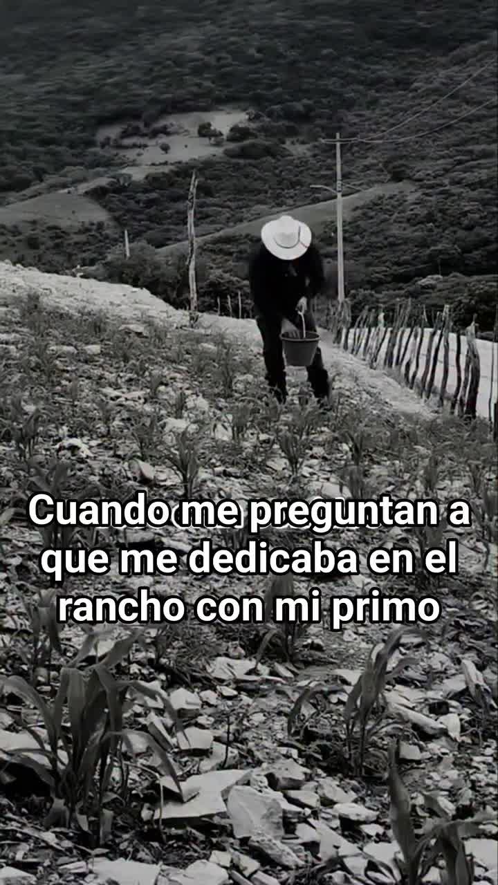 @Pedro salvador