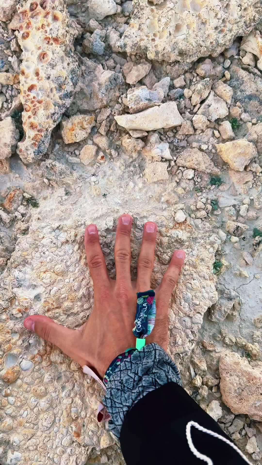 @mega
