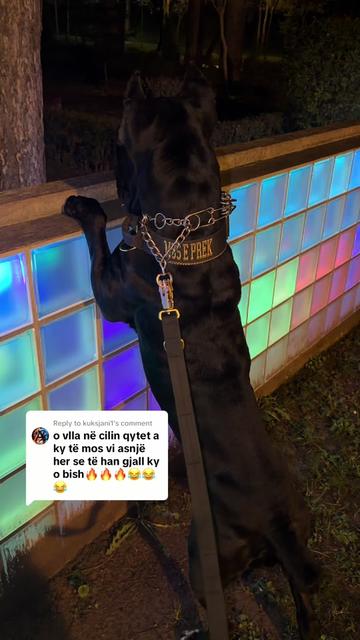 @guardiani_di_lako