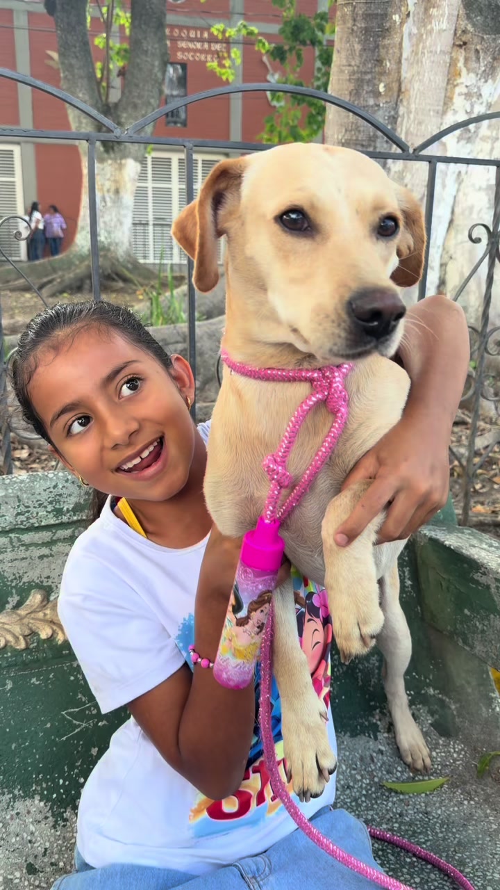 @Conciencia Animal El Cerrito