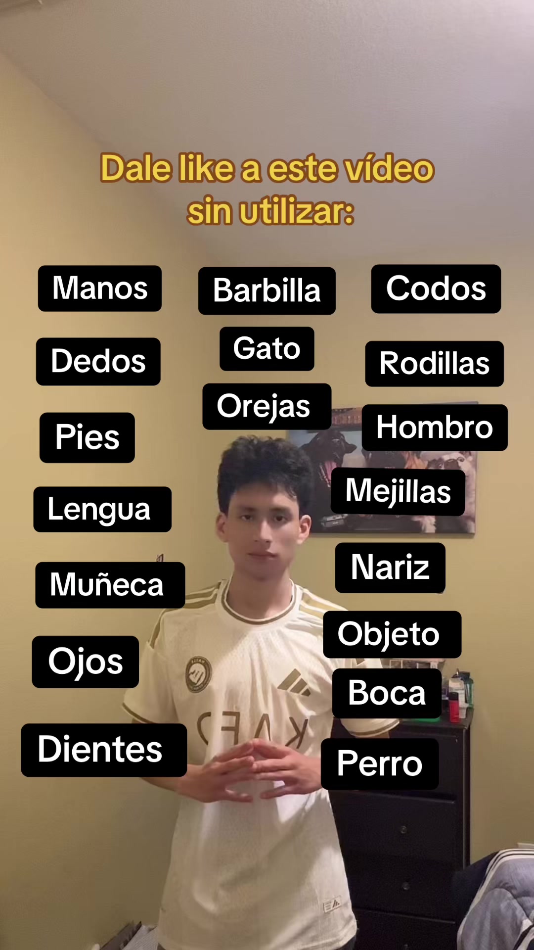 @guillermito