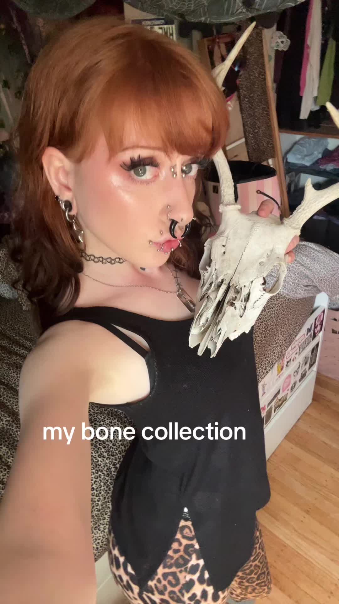 @fawn.bbyy