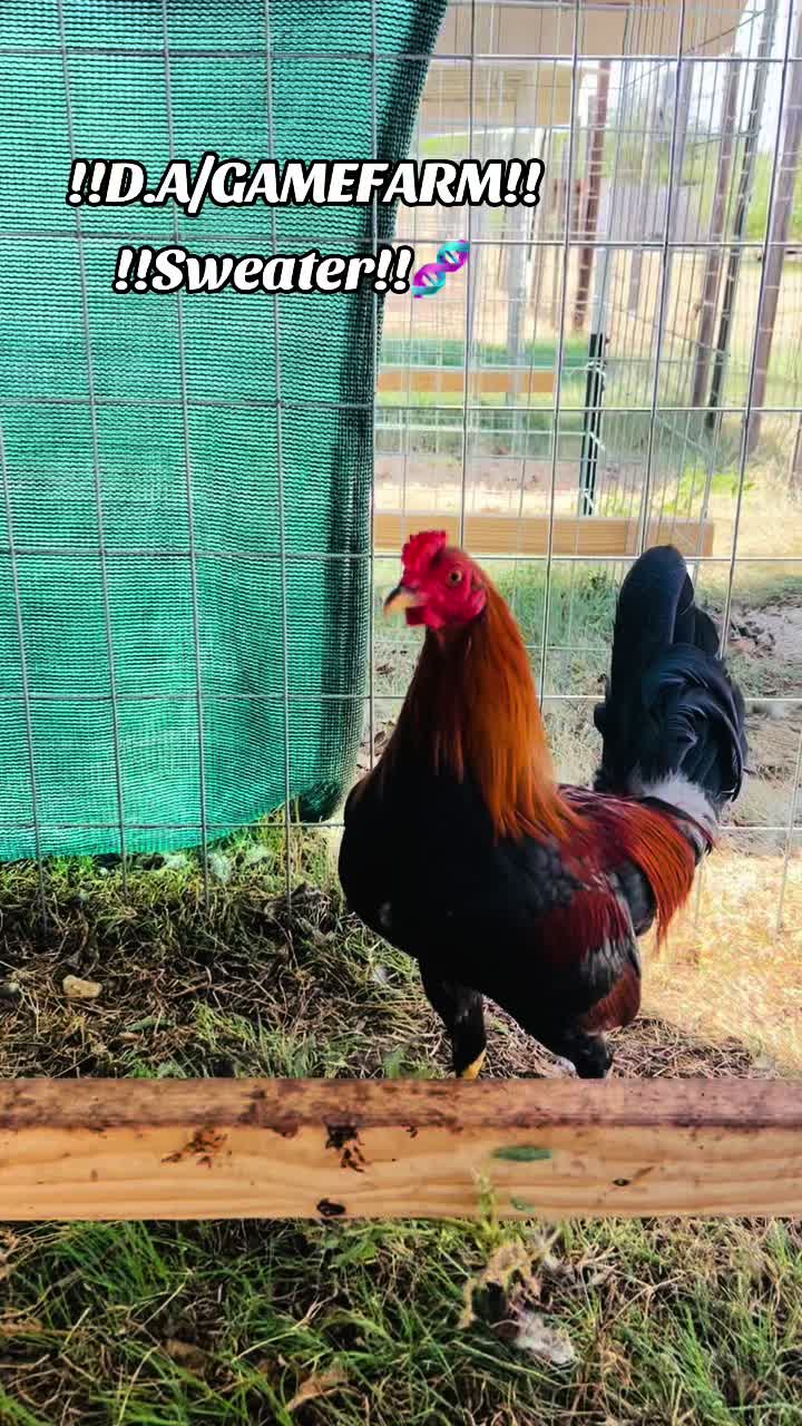 @DAgamefarm