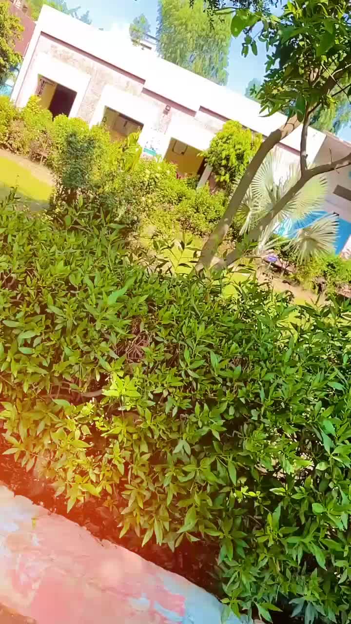 @❤️🩹سرائیکی ❤️🩹🫀 شہزادہ 🫀