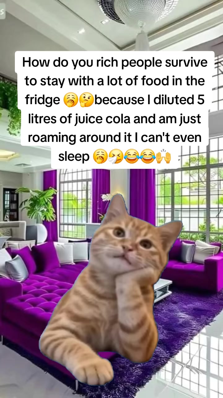 @Miss Vibez ๐ค๐๐