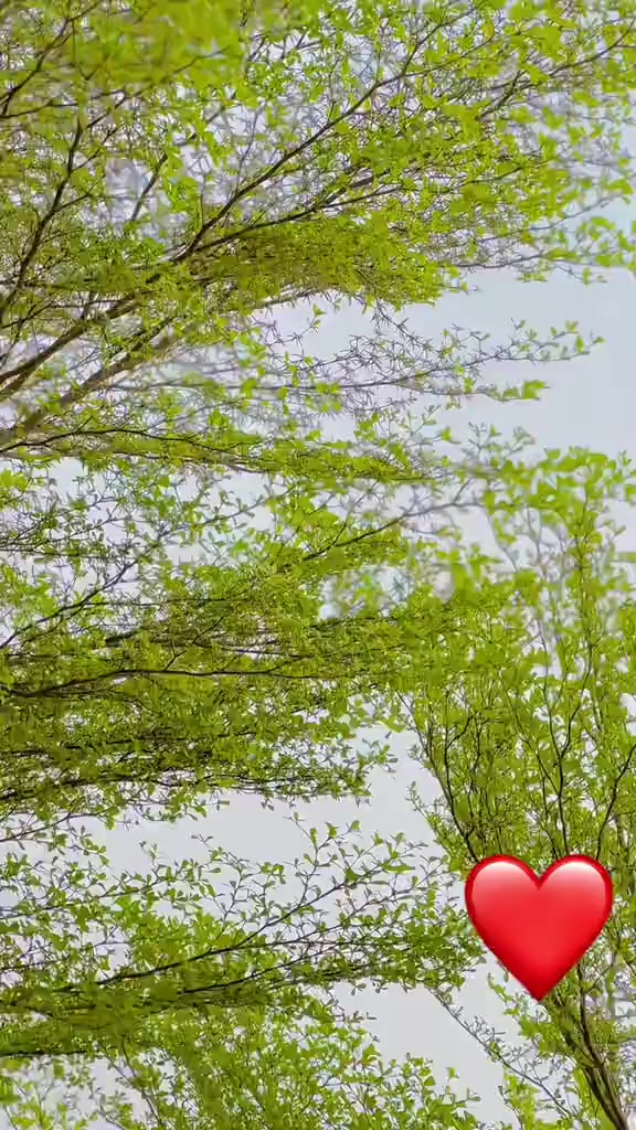 @AyeSha ShaHzadi