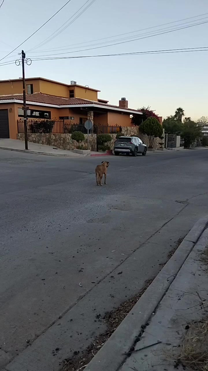 @#NoSoyRunner