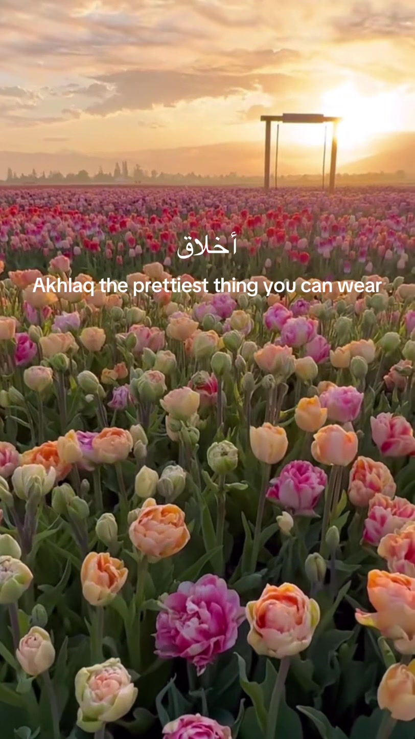 @thehijabaesthetic