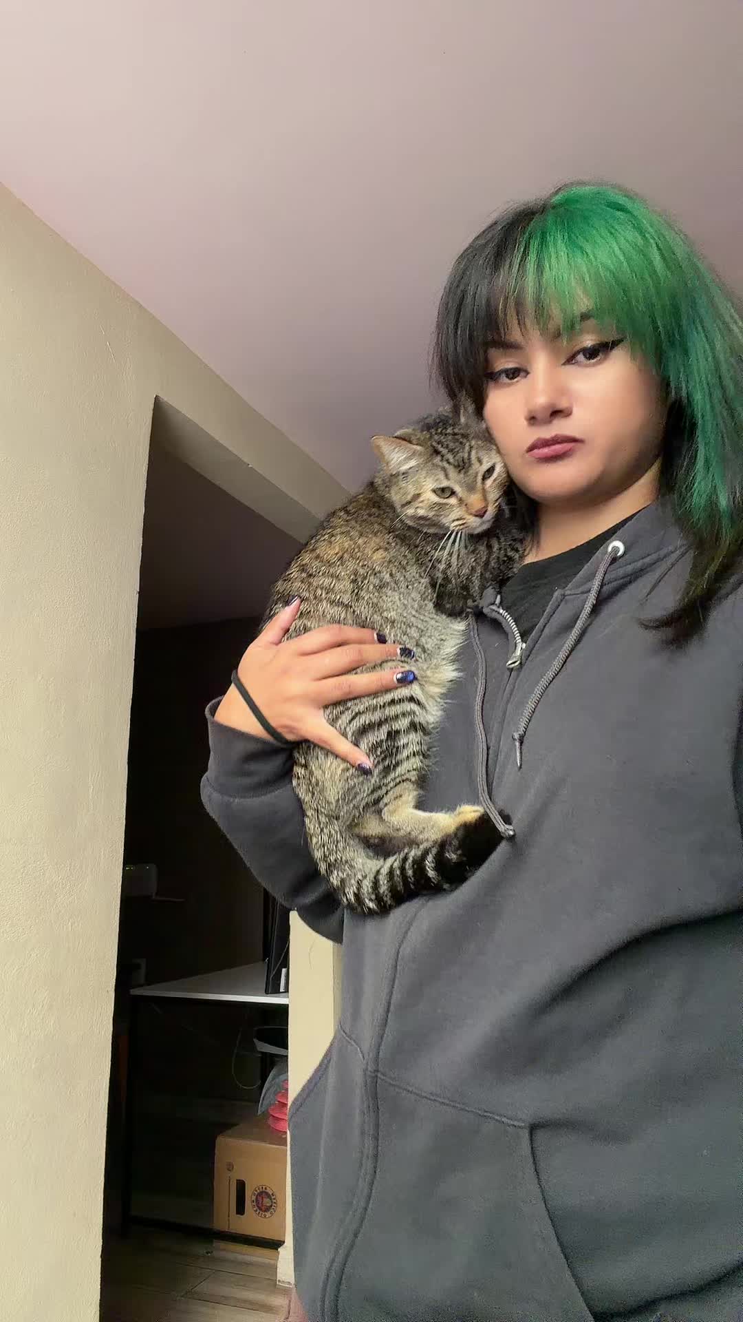 @wingleess