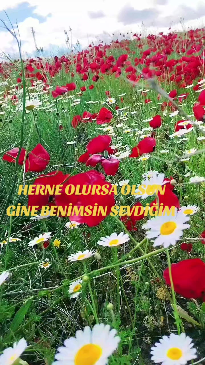 @Hasan Yılmaz