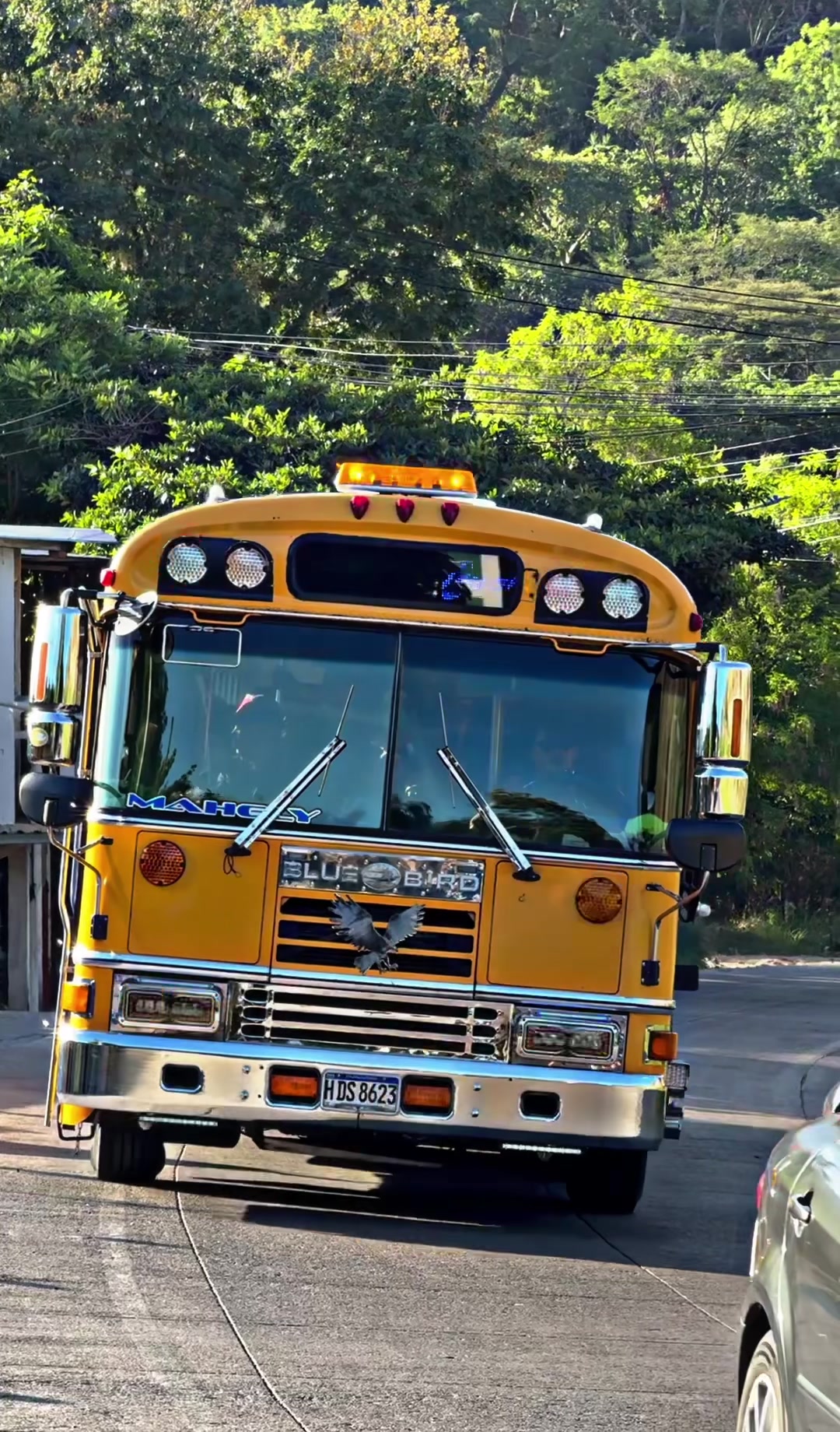 @Buses_hn😎