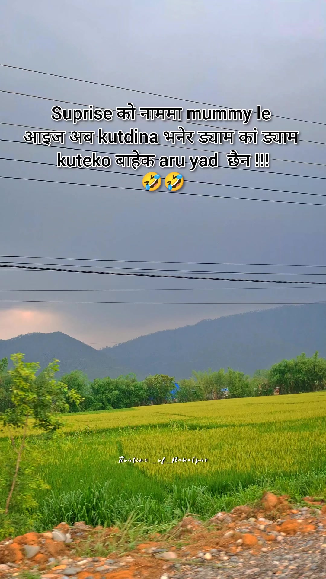 @Routine of Nawalpur
