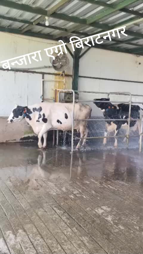 @Banjara Agro