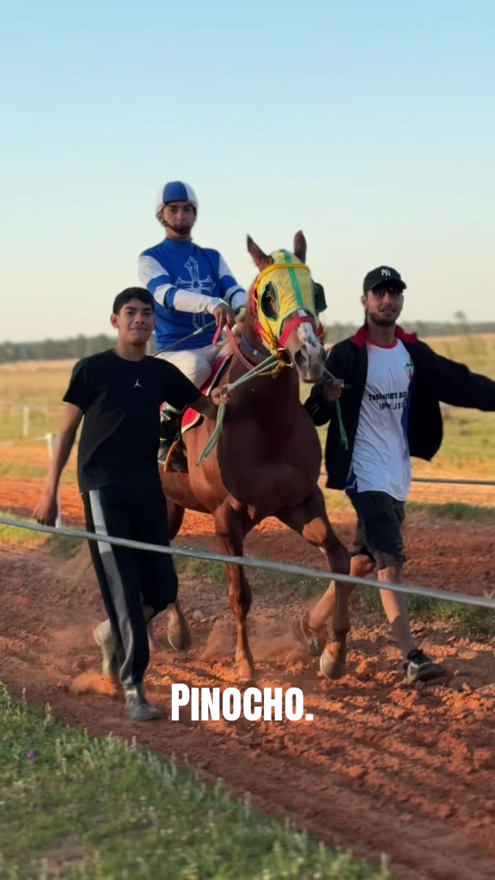 @hip&oacute;dromo Yataity Guair&aacute;.