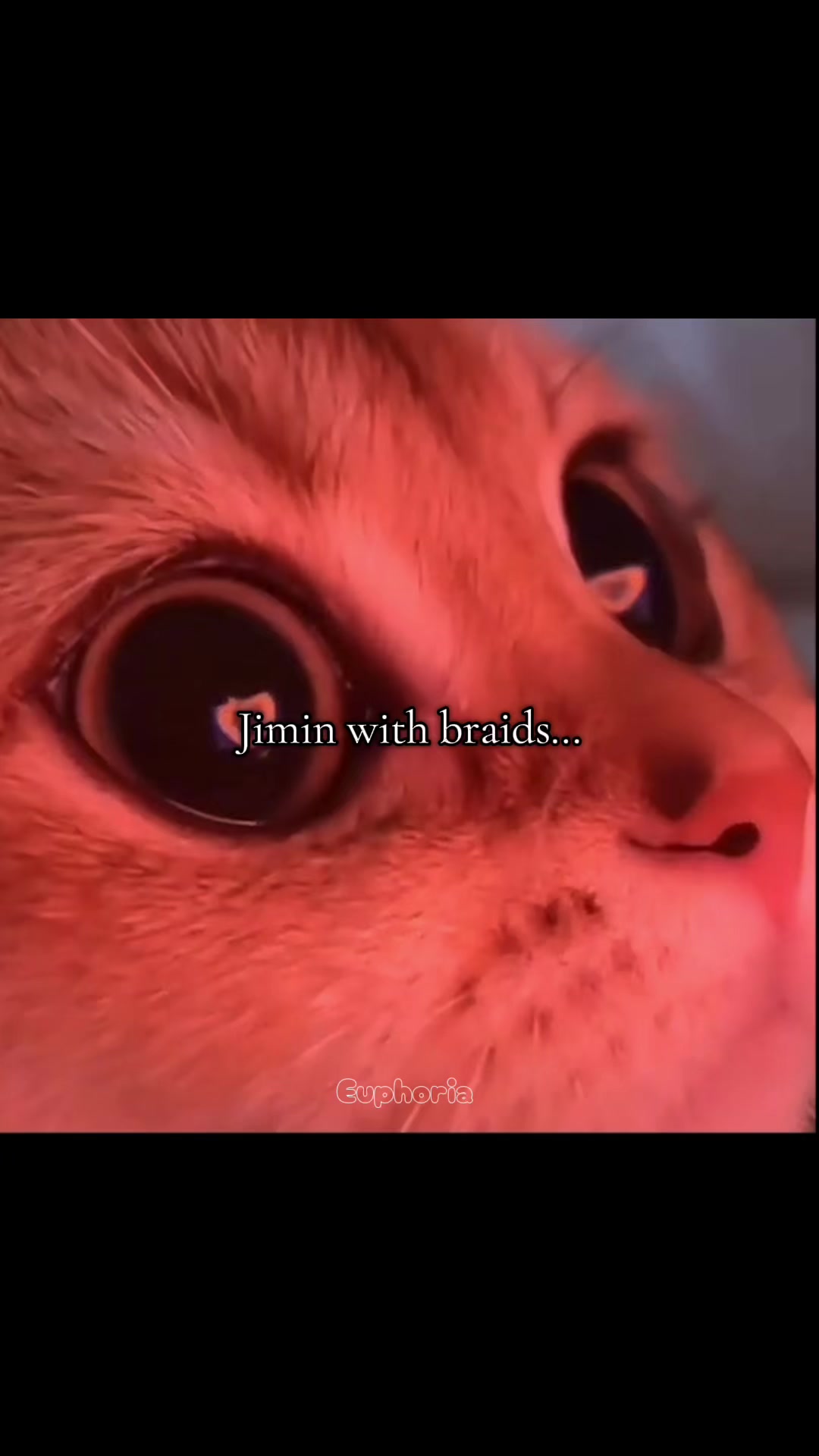 @𓆩ℰ𝓊𝓅𝒽♡𝓇𝒾𝒶𓆪⁷⊙⊝⊜