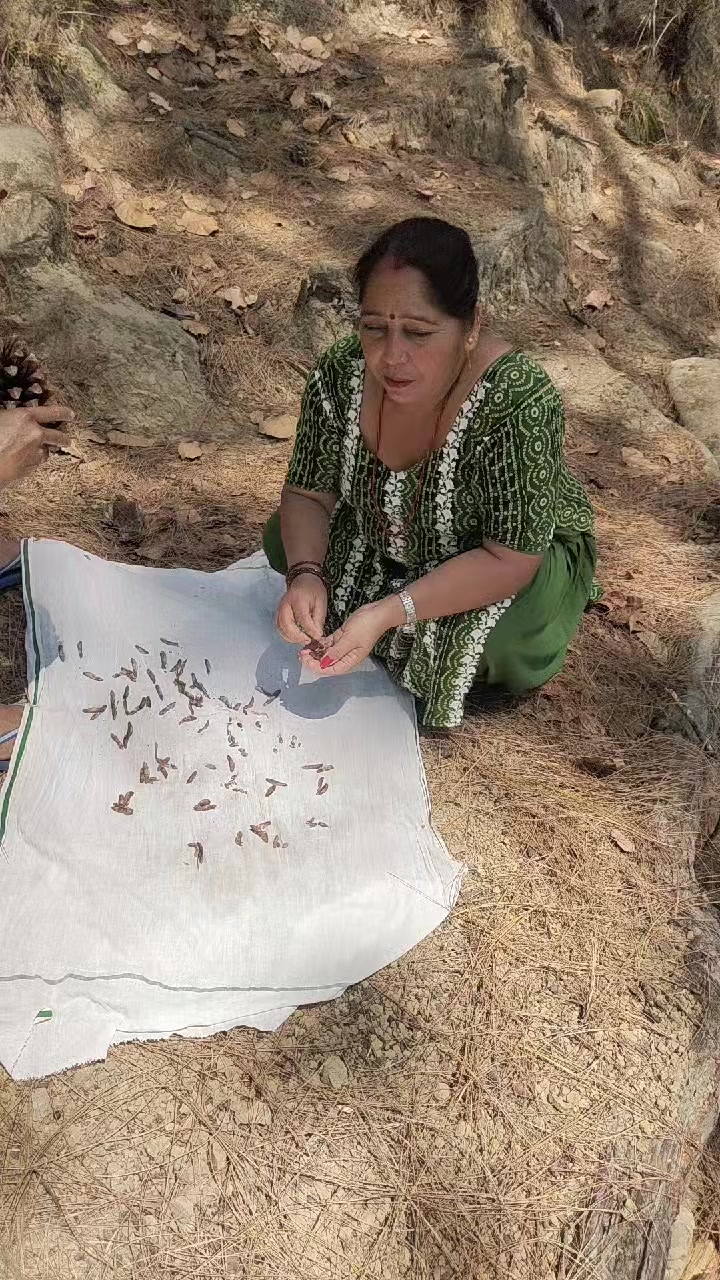 @amrita khadka oli