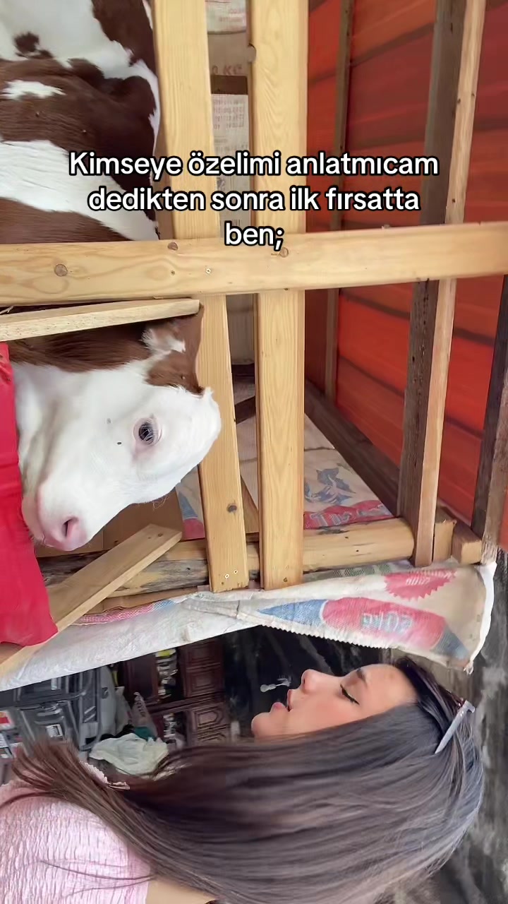 @Rezzanay