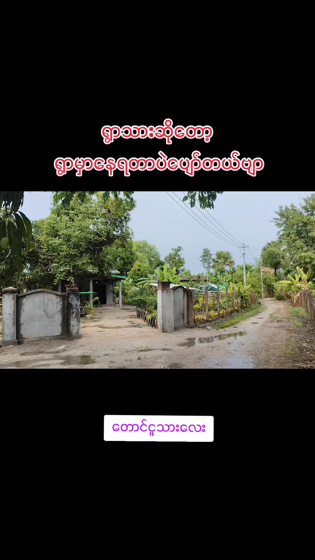 @🇲🇲နောင်လေး🇲🇲 ( TAUNGOO )