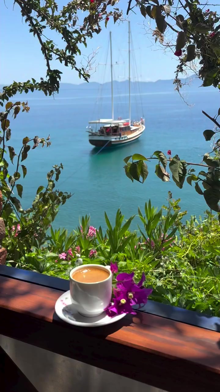 @LAZKizi❤️61💙53💚💙⚜️⚜️