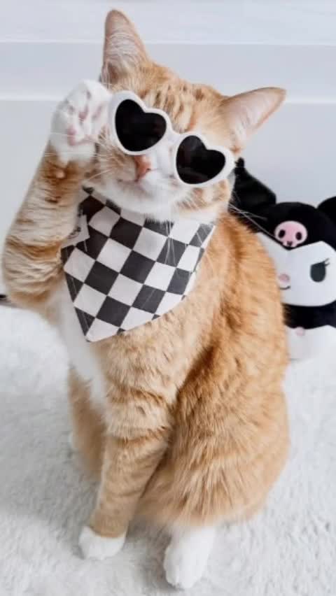 @𝒔𝒉𝒆 𝒓𝒐𝒔𝒆