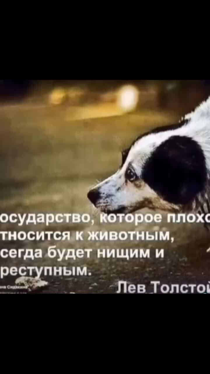 @муха зелëная777