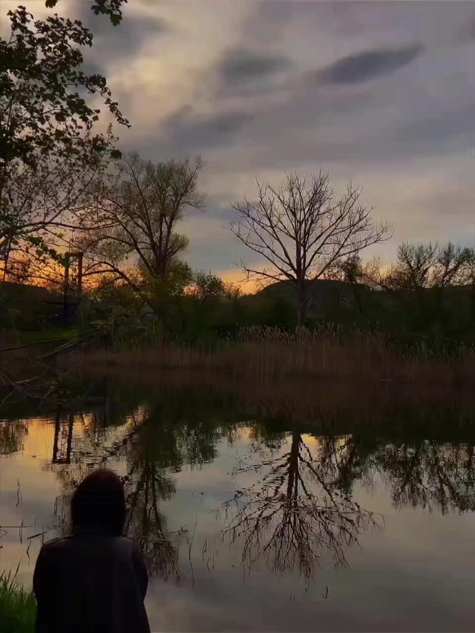 @mirk0l