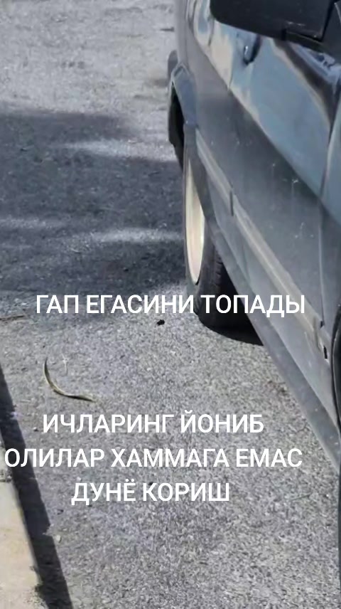 @꧁💞💞МАЯ💞💞꧂