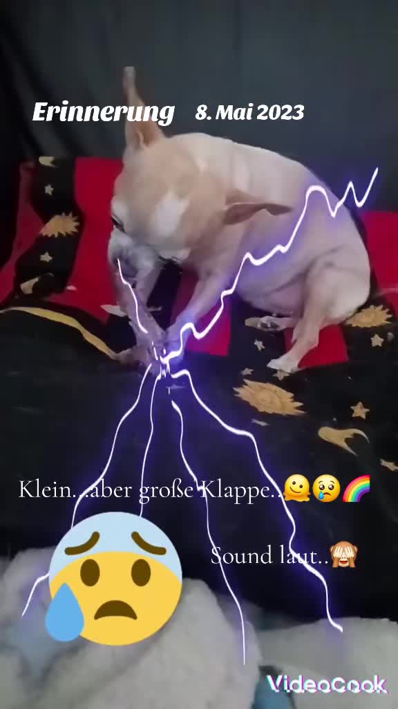 @Zweihorn