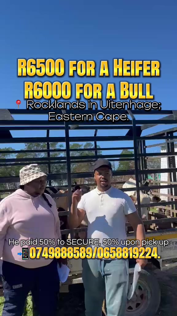 @sammeatsneeds
