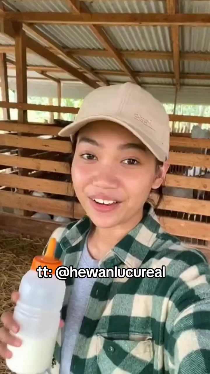 @Hewan Lucu🥰