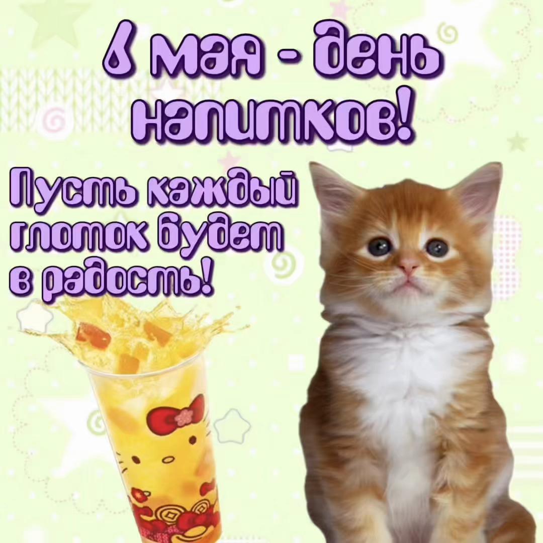 @котики на каждый день