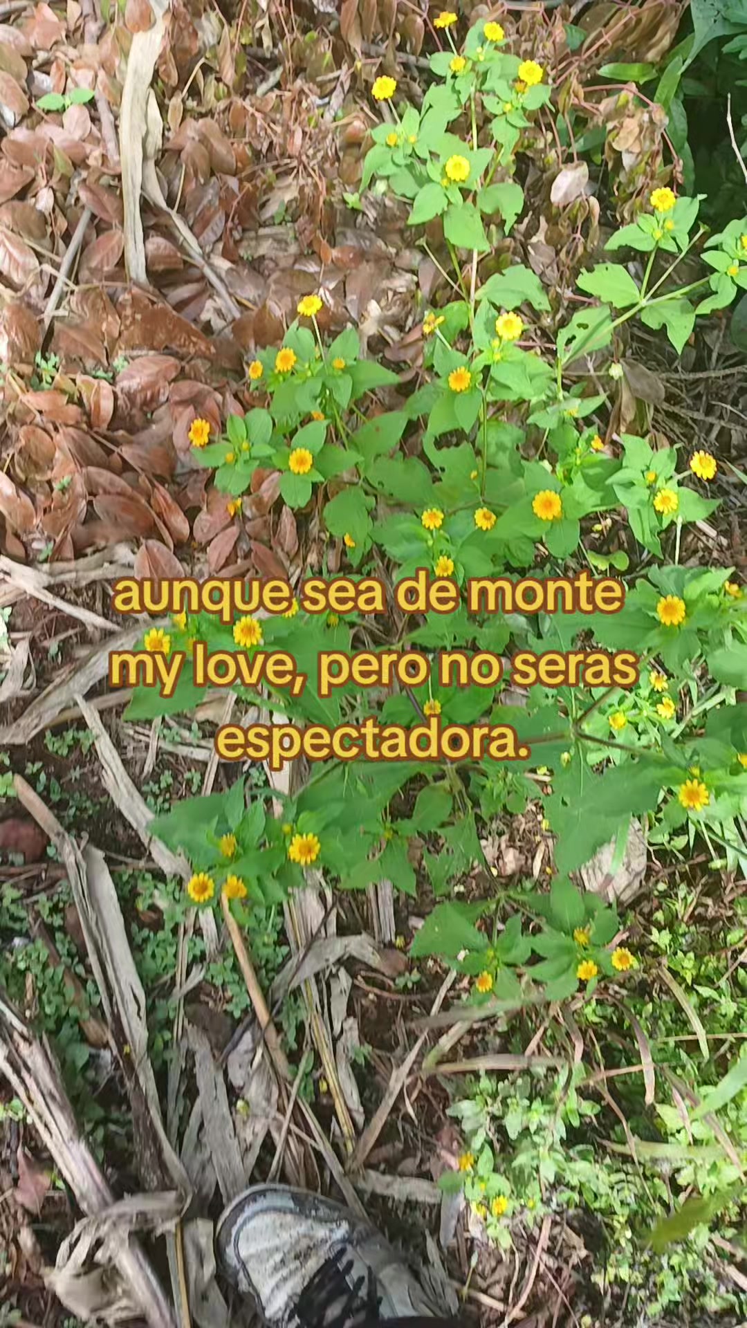 @Alejandro Quiñonez 🤠🫘