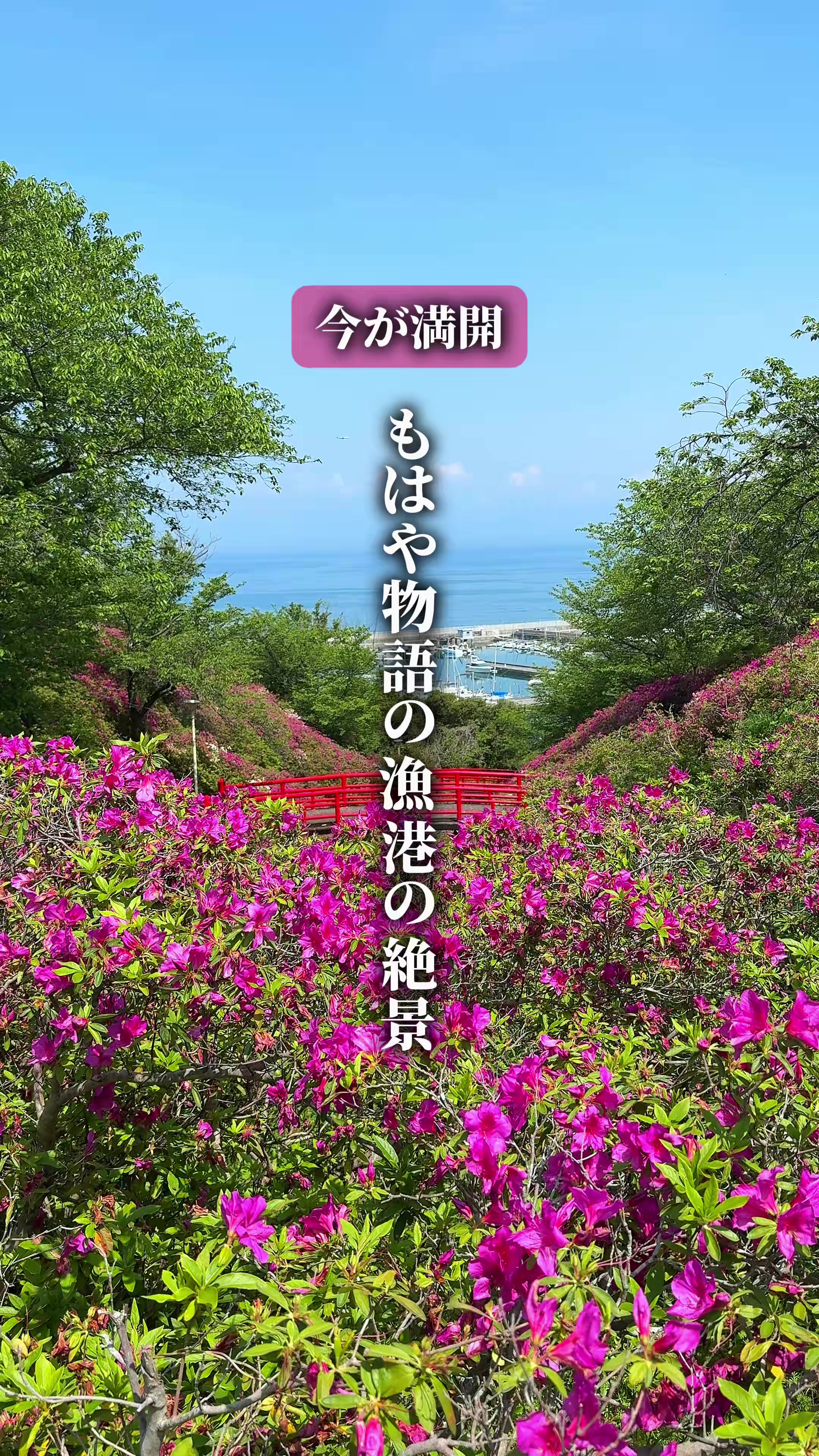 @ひろと / 大阪発！関西トレンド独占旅🔥