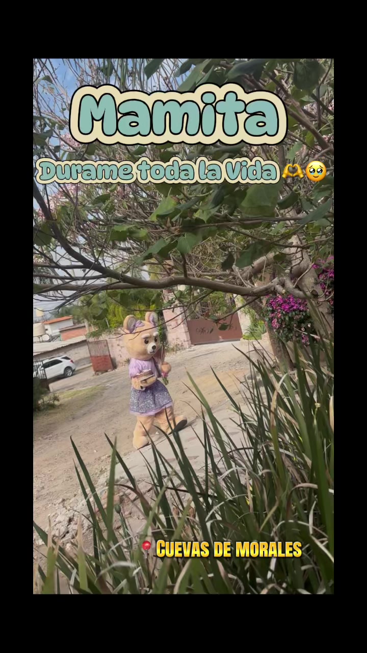 @Cachetitos 🫶