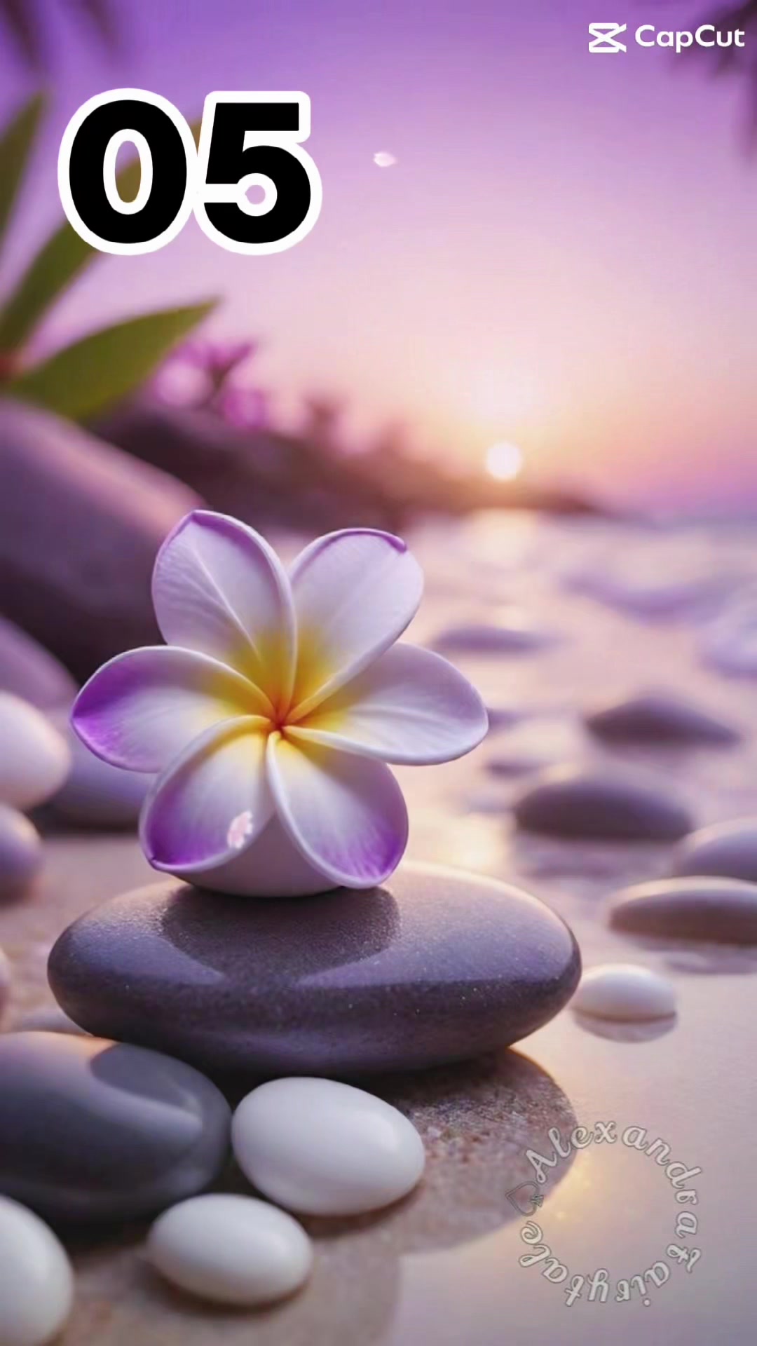 @💜DEVADARSHINI💜