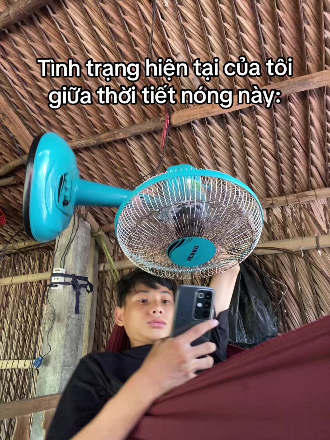@banddz7