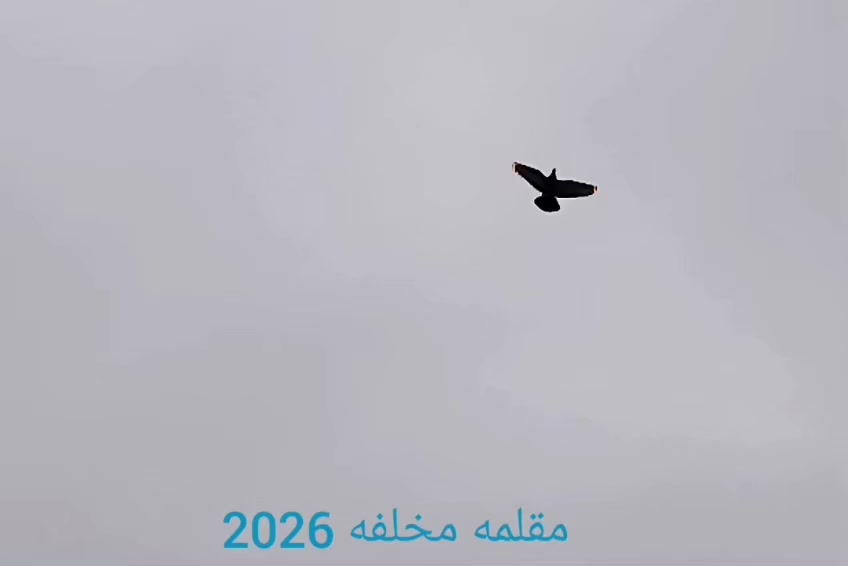 @عبسي