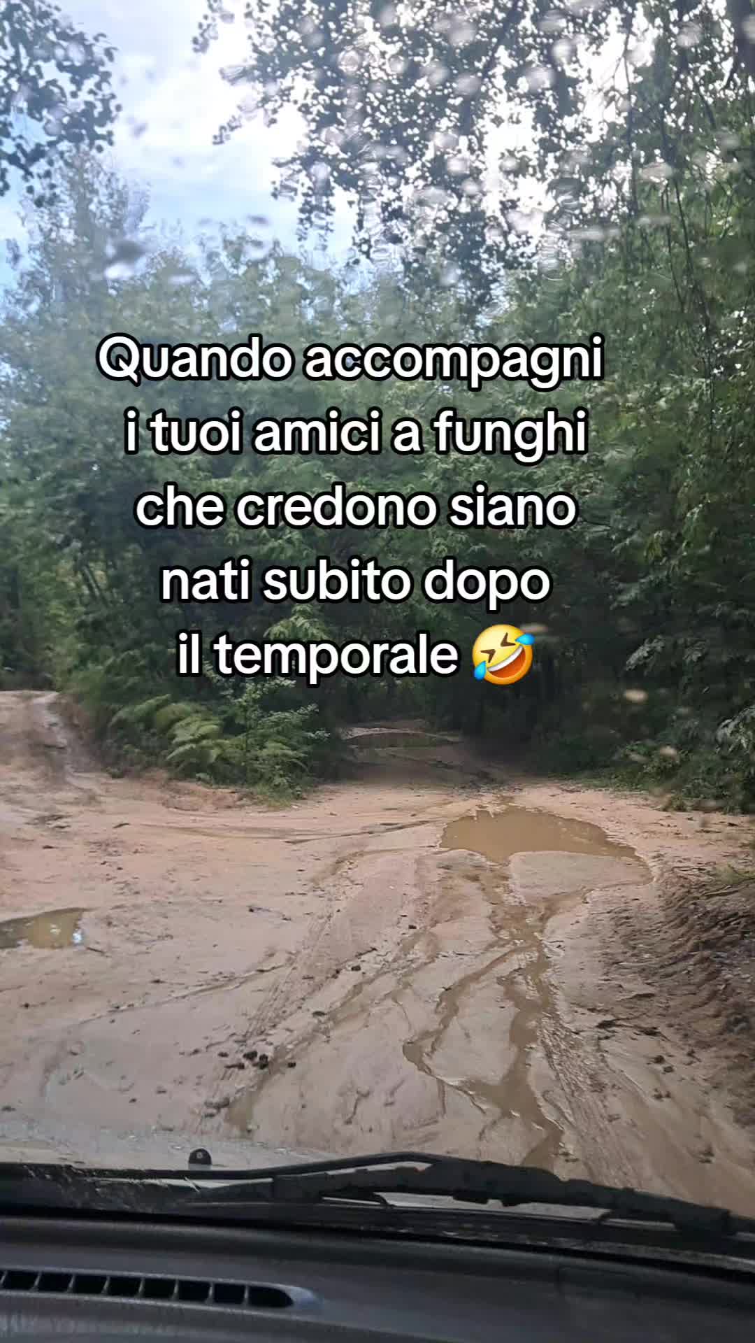 @Liana 63