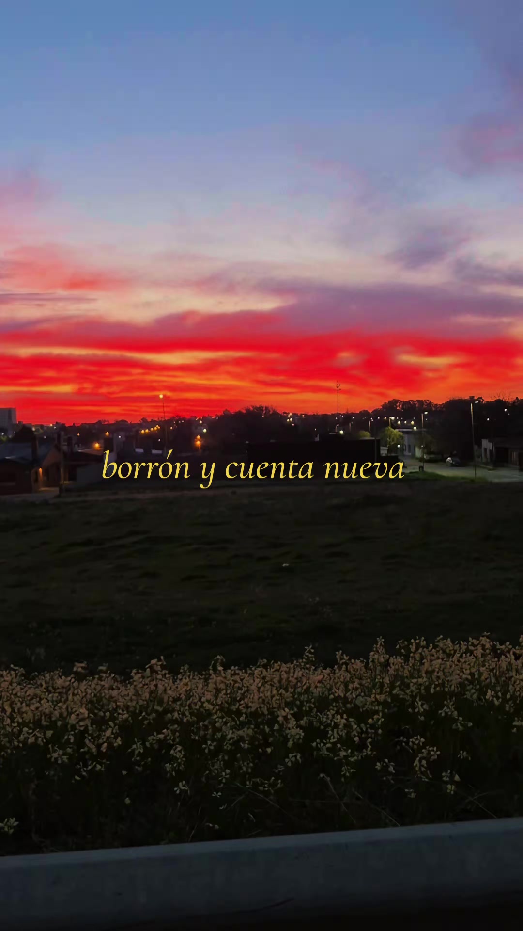@⋆.&deg;🦋༘