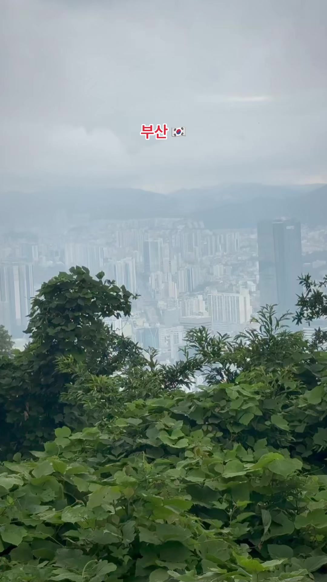 @𝘿𝙧𝙚𝙖𝙢𝙆𝙞𝙡𝙡𝙚𝙧🇰🇷