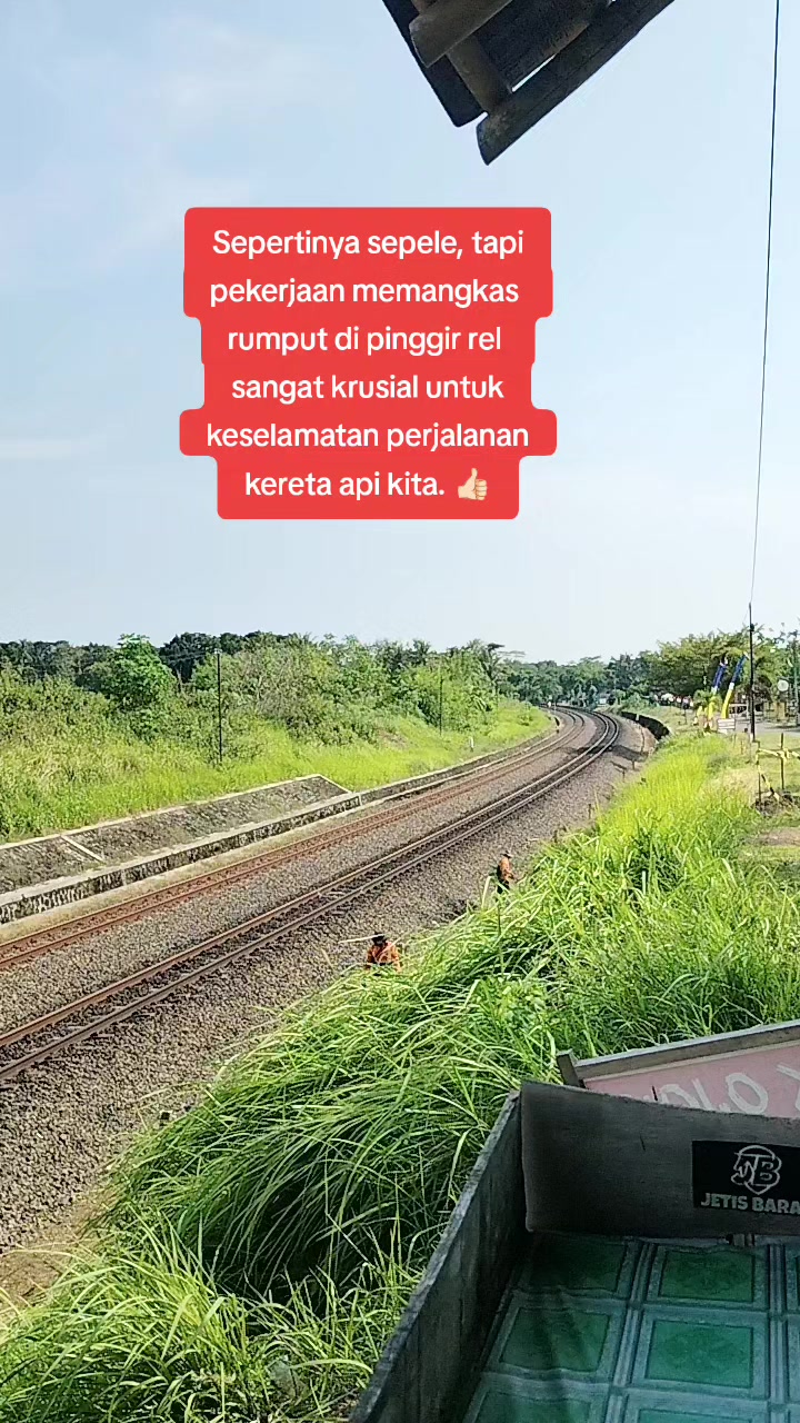 @Leida Zinc
