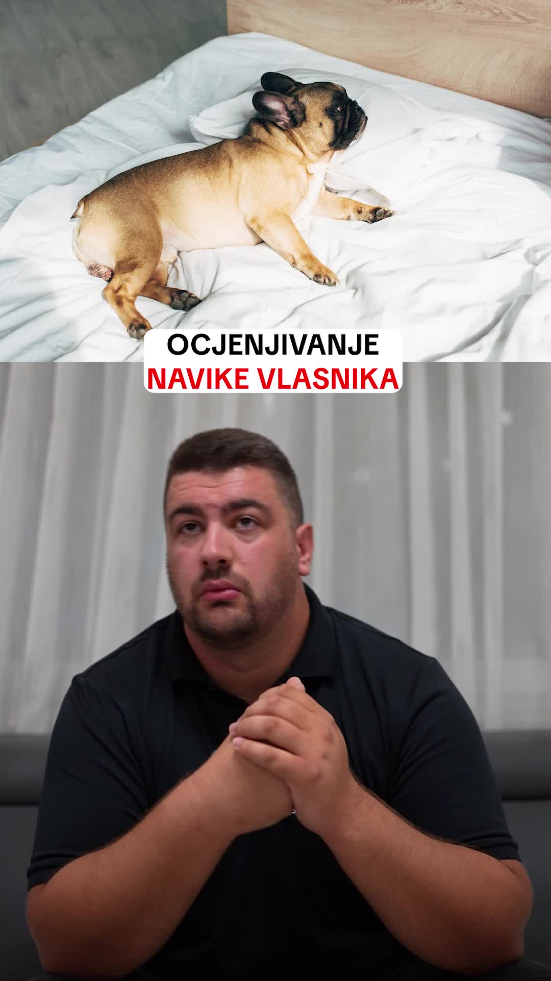 @superdog.akademija