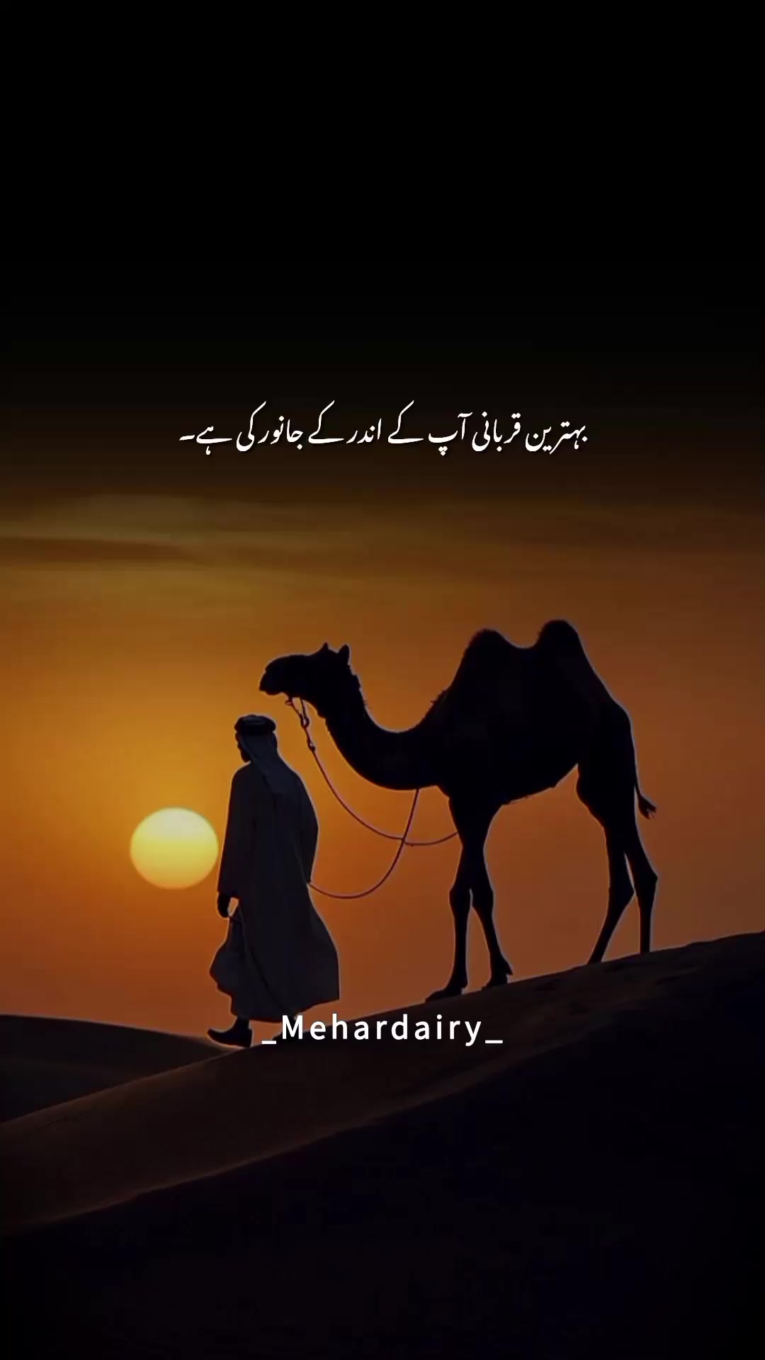 @مہر ڈائری